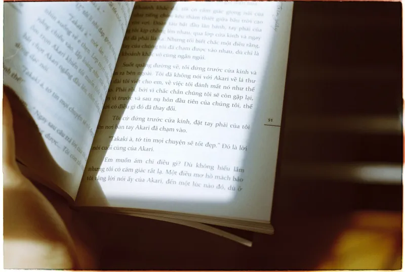 Grammar by Accident: What Vietnamese Web Fiction Is Doing to American Readers' Brains